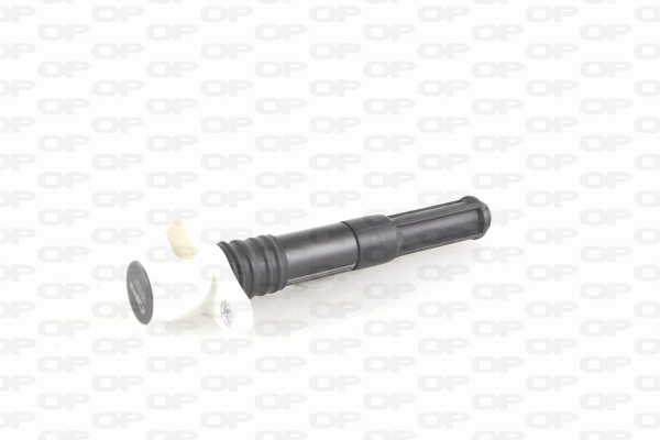 Ignition Coil (IGN1028.00)