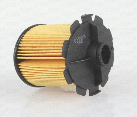 Fuel Filter (EFF5021.10)