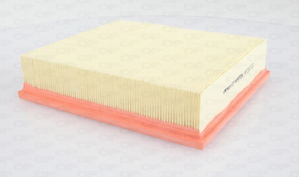 Air Filter (EAF3505.10)