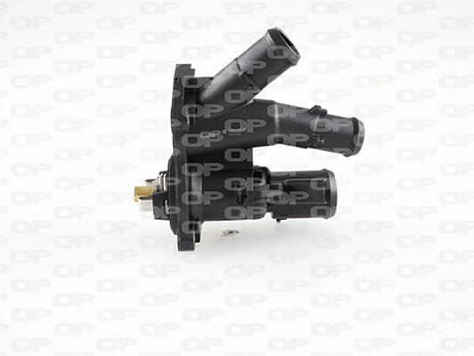 Thermostat, coolant (TRM1099.00)