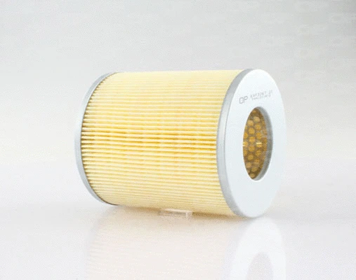 Air Filter (EAF3067.20)