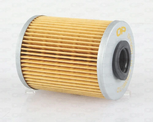 Fuel Filter (EFF5001.10)