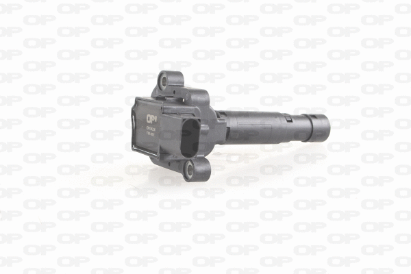 Ignition Coil (IGN1043.00)