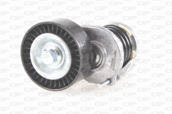 Belt Tensioner, V-ribbed belt (ACT2052.00)
