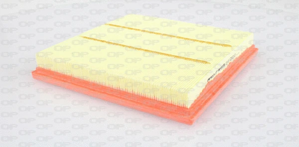 Air Filter (EAF3260.10)