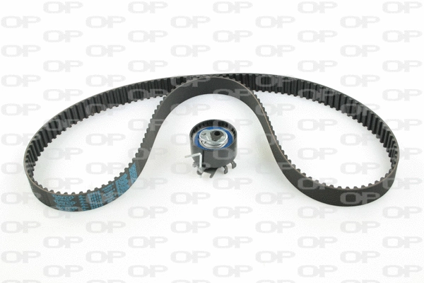 Timing Belt Kit (TBK5005.01)