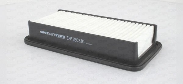 Air Filter (EAF3503.10)