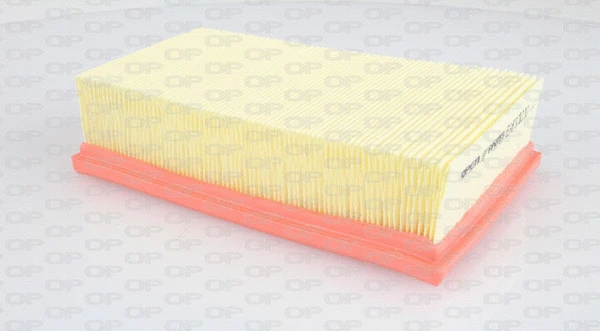 Air Filter (EAF3212.10)