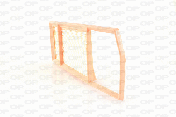 Air Filter (EAF3718.10)