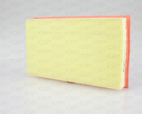 Air Filter (EAF3385.10)