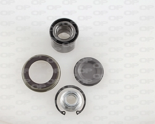 Wheel Bearing Kit (HBK5098.01)