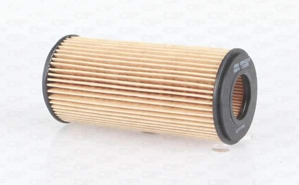 Oil Filter (EOF4221.10)