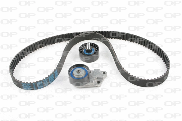 Timing Belt Kit (TBK5099.01)