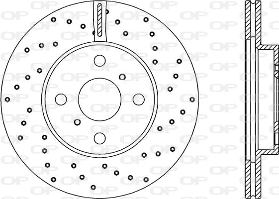 Brake Disc (BDRS1877.25)