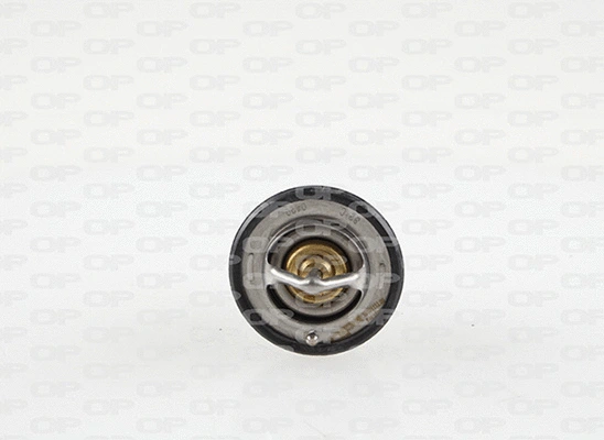 Thermostat, coolant (TRM1112.00)