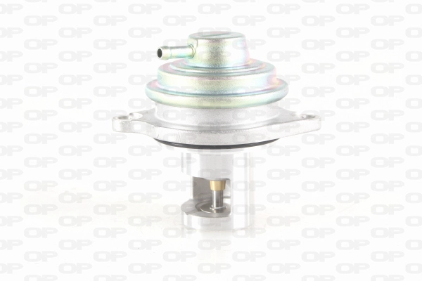 EGR Valve (EGR3018.00)