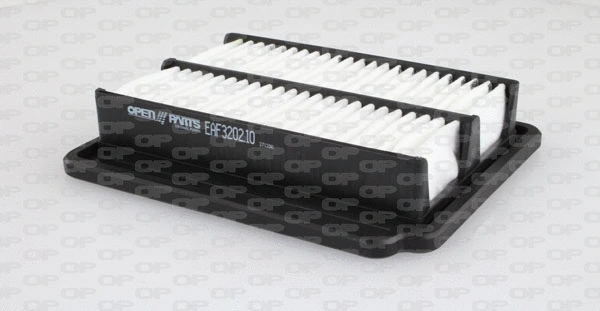 Air Filter (EAF3202.10)