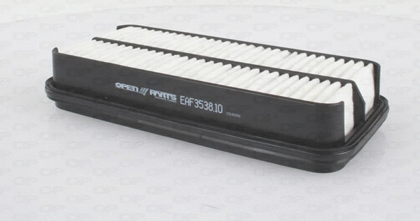 Air Filter (EAF3538.10)