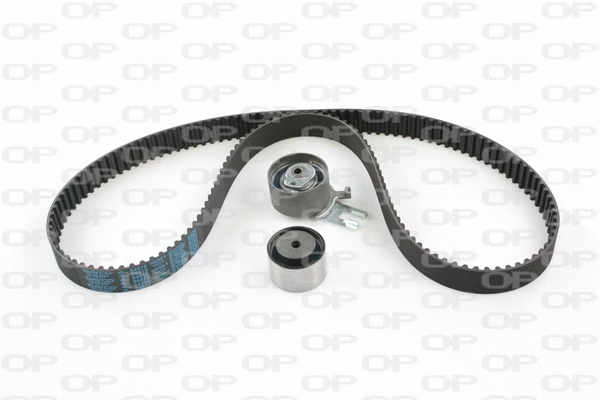 Timing Belt Kit (TBK5059.01)