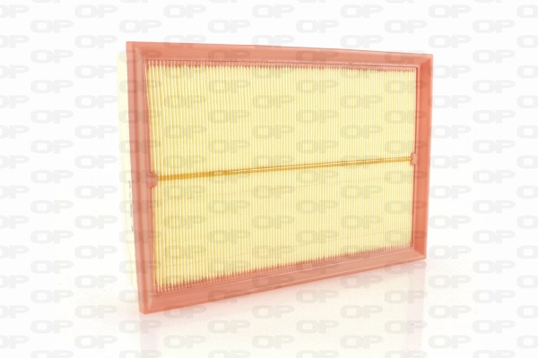 Air Filter (EAF3741.10)