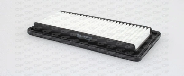 Air Filter (EAF3266.10)