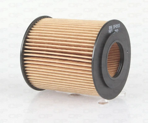 Oil Filter (EOF4114.10)