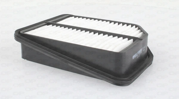 Air Filter (EAF3540.10)