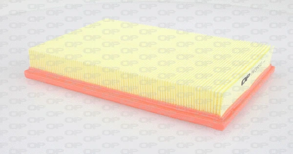 Air Filter (EAF3045.10)