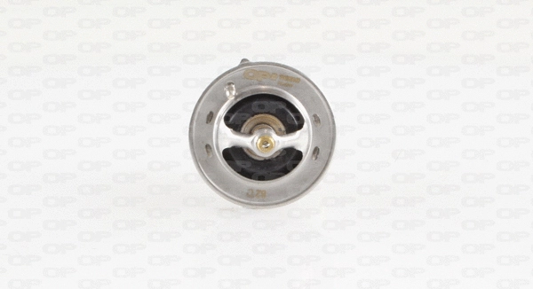 Thermostat, coolant (TRM1029.00)