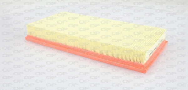 Air Filter (EAF3255.10)