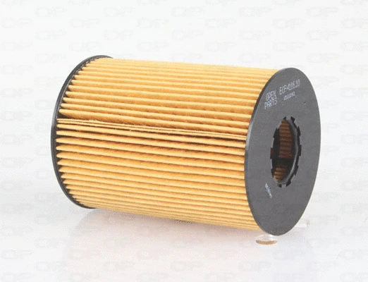 Oil Filter (EOF4116.10)