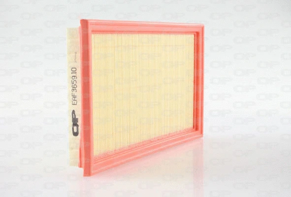 Air Filter (EAF3659.10)