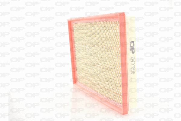Air Filter (EAF3701.10)