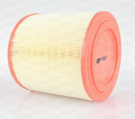 Air Filter (EAF3621.20)