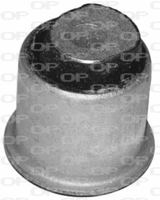 Mounting, control/trailing arm (SSS1028.11)