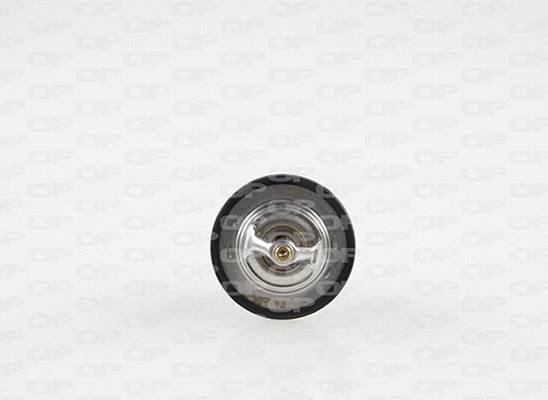 Thermostat, coolant (TRM1151.00)