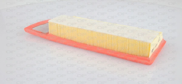 Air Filter (EAF3198.10)
