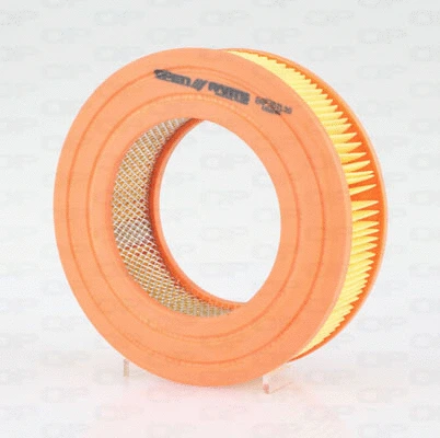 Air Filter (EAF3571.20)