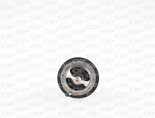 Thermostat, coolant (TRM1110.00)