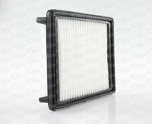 Air Filter (EAF3657.10)