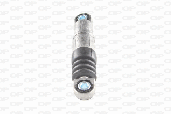 Belt Tensioner, V-ribbed belt (ACT2242.00)
