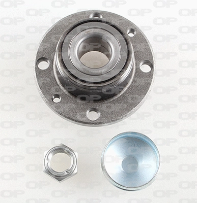 Wheel Bearing Kit (HBK5020.02)