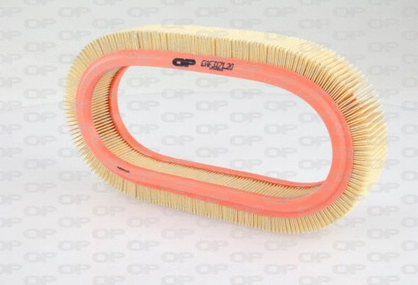 Air Filter (EAF3171.20)