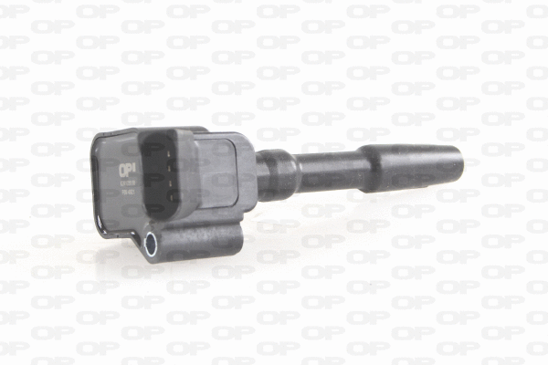 Ignition Coil (IGN1038.00)