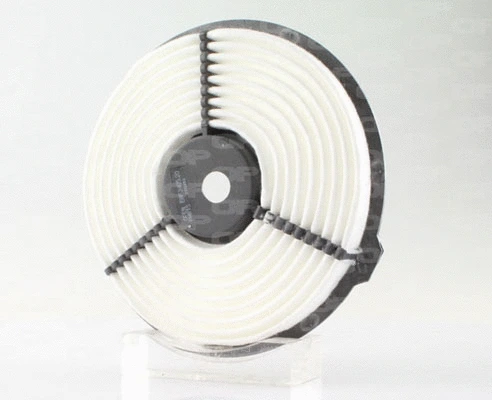 Air Filter (EAF3405.20)