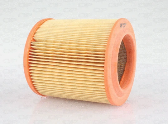 Air Filter (EAF3575.20)
