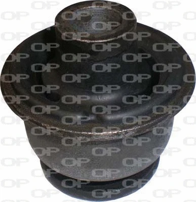 Mounting, control/trailing arm (SSS1059.11)