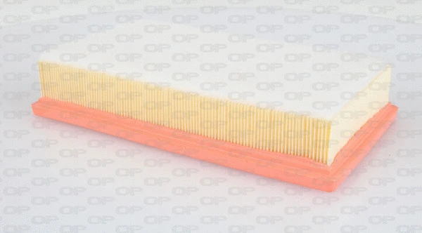 Air Filter (EAF3021.10)