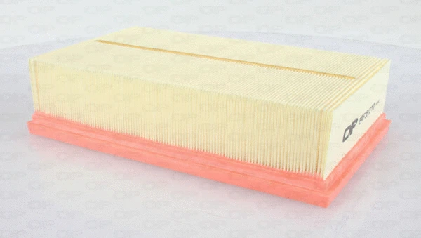 Air Filter (EAF3612.10)