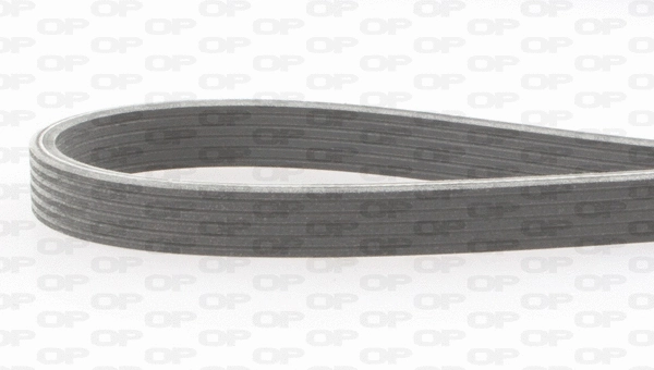V-Ribbed Belt (PVBD1195.06)